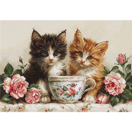 Kit de broderie Deux chatons