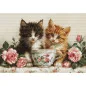 Kit de broderie Deux chatons