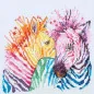 Embroidery kit Zebras