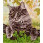 Kit de broderie Chat