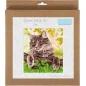 Kit de broderie Chat