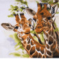 Embroidery kit Giraffes