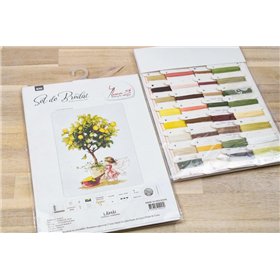 Kit de broderie la mandarine