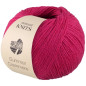 Summer Cashmere Rose 006