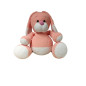 Lapin Flappy pêche