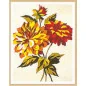 Kit canevas Fleurs 7