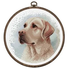 Kit de broderie Le Labrador