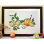 Embroidery kit Honey Apples