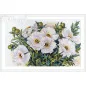 Kit de broderie Fleurs blanches