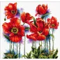Kit de broderie De jolis coquelicots Kit de broderie De jolis coquelicots