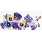 Kit de broderie Pensées violettes Kit de broderie Pensées violettes