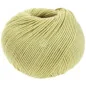 Cool Wool Vert pastel 2122