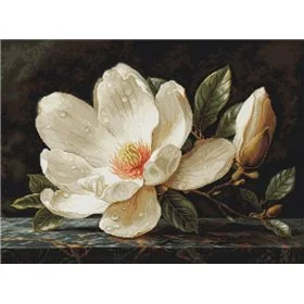 Kit de broderie La Rosée du Magnolia