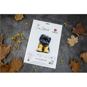 Kit de broderie Le Petit Aventurier