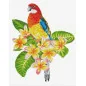 Embroidery kit Frangipanni Rosella