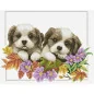 Kit de broderie Chiots qui regardent