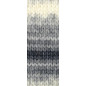 Picasso 14