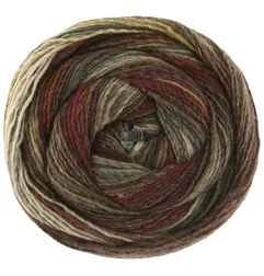 Gomitolo Intensio 234