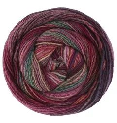 Gomitolo Intensio 237