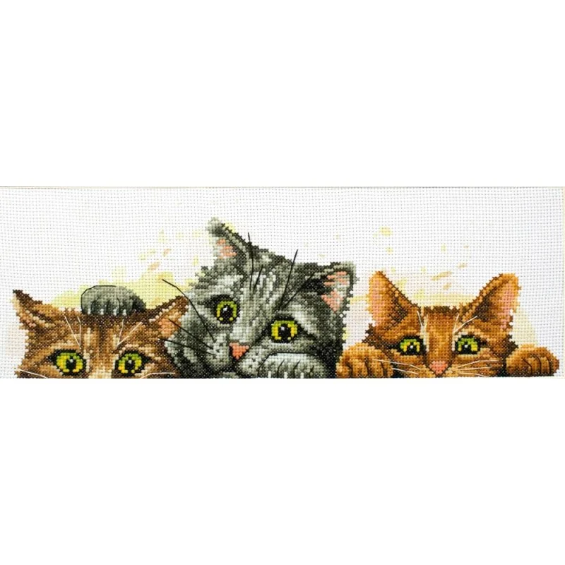 Kit de broderie Chatons curieux