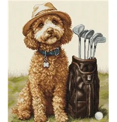 Embroidery kit The Master Golfer