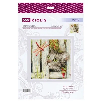 Kit de broderie Qui es-tu ?