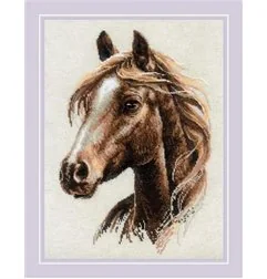 Embroidery kit Proud Spirit