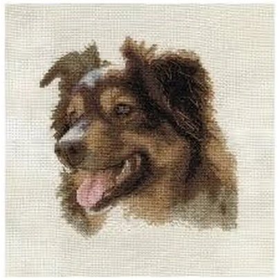 Kit e broderie Berger anglais