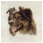 Embroidery kit English Shepherd