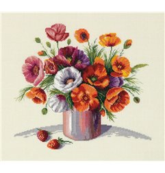 Kit e broderie Coquelicots du matin