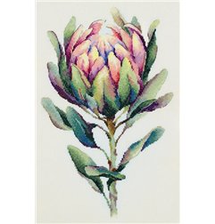 Kit e broderie Protea