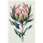 Kit e broderie Protea