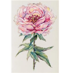 Embroidery kit Peony
