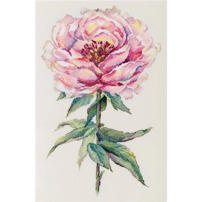Embroidery kit Peony