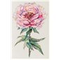Embroidery kit Peony
