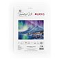 Embroidery kit Northern Lights (petit point)