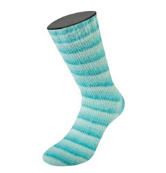 Cosy Socks Soft Stripes 102