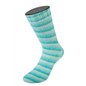 Cosy Socks Soft Stripes 102