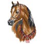 Kit de broderie cheval arabe Kit de broderie cheval arabe