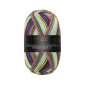 Pro Lana Golden Socks Tannheim 5 190.03