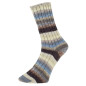 Pro Lana Golden Socks Tannheim 5 190.04