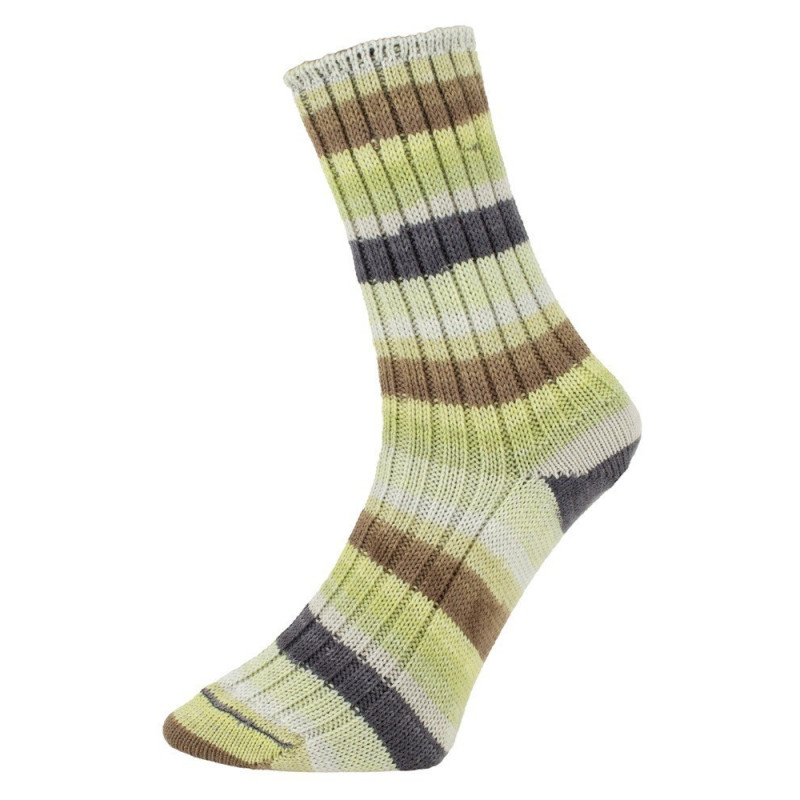 Pro Lana Golden Socks Tannheim 5 190.06