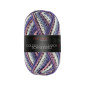 Pro Lana Golden Socks Schneewelt 37911