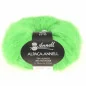 Alpaca Annell 5724 vert du Brésil