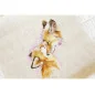 Embroidery kit Foxes