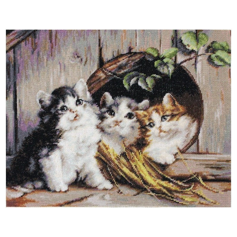 Embroidery kit Friendly Shelter 