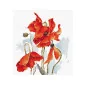 Kit de broderie Coquelicots 6 Kit de broderie Coquelicots 6