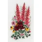 Embroidery kit Garden "poetry"