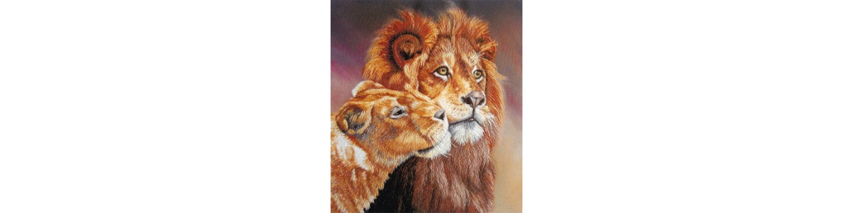 Kits de broderie | Verelana – Boutique en ligne en France