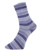 .Golden Socks Belchen